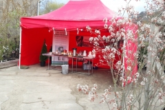 Obstarche Infostand auf den Rhododendrontagen bei Pflanzenhandel Hinrichs GmbH in Kröpelin