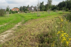 Streuobstwiese "Garten Eden"