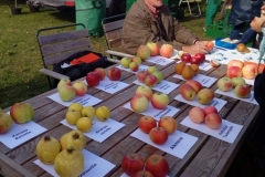 Reddelich_Apfelffest2018_09_29-033