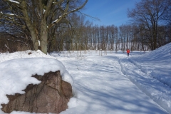 Streuobstwiese Grünes Klassenzimmer in Reddelich