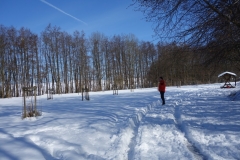 Streuobstwiese Grünes Klassenzimmer