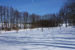 Streuobstwiese Ellernbruch in Reddelich