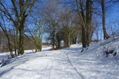 Wanderweg zwischen Reddelich und Brodhagen