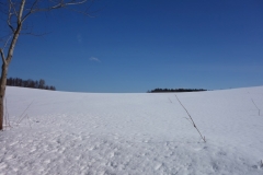 Blick auf Feld in Brodhagen