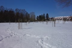 Streuobstwiese Konzertgarten in Reddelich