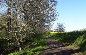 Kastell Obstwanderweg