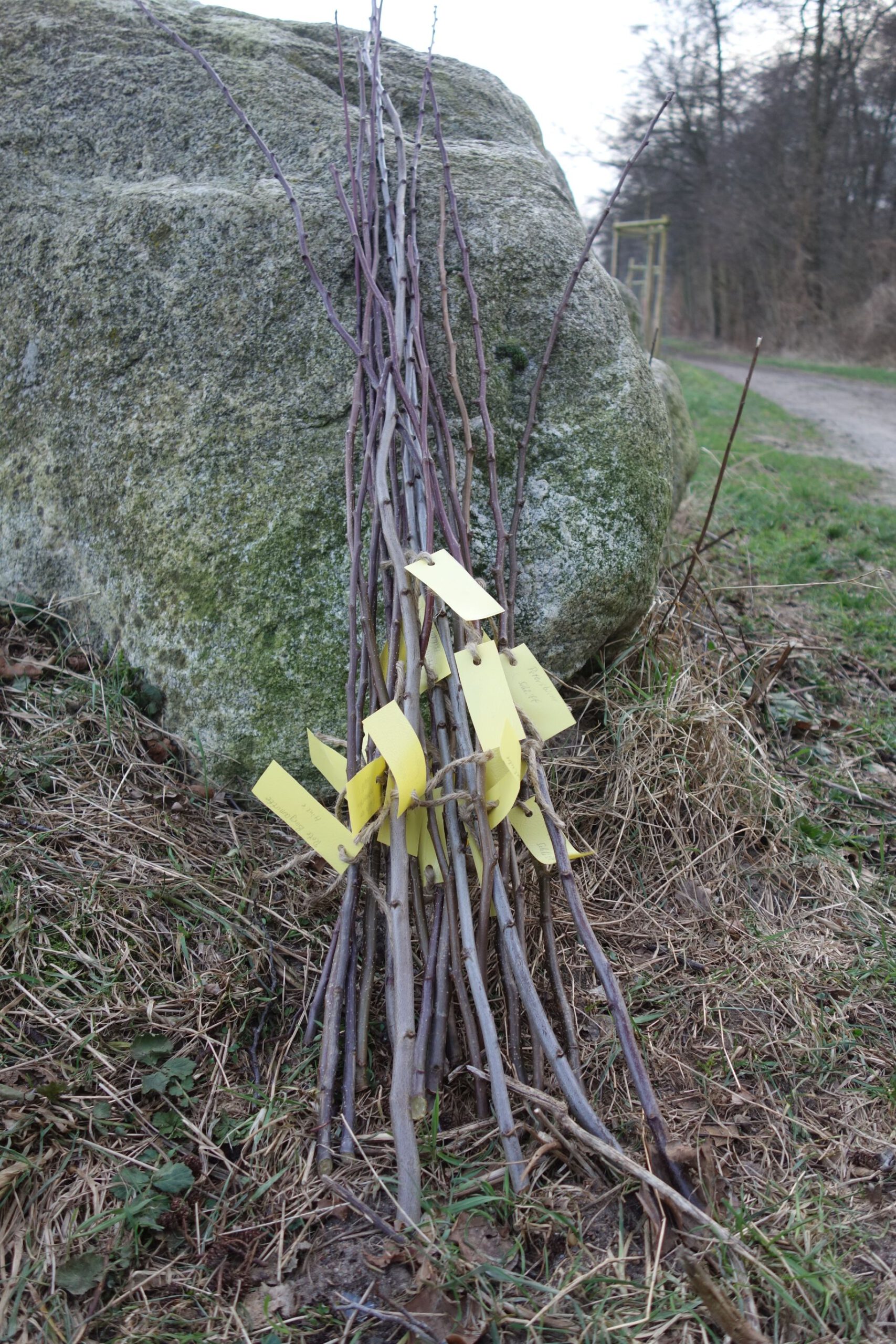 19.01.2026: Der Gartenclub des Burger Roland-Gymnasiums bedankt sich ...